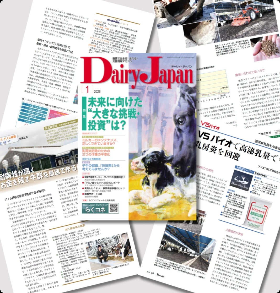Dairy Japan 誌面イメージ