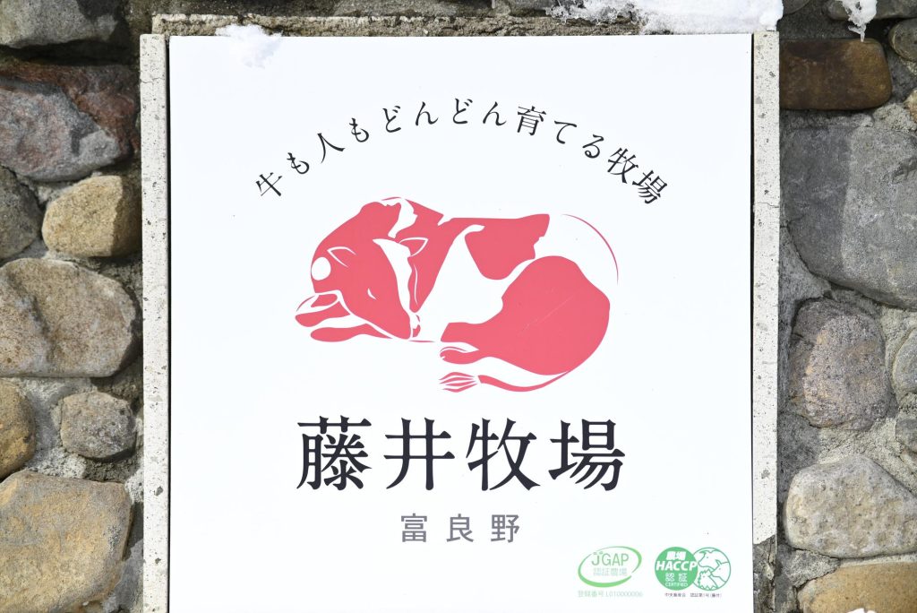 主な内容